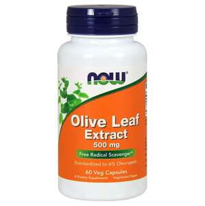 Now® Foods NOW Extrakt z olivových listů, 500 mg x 60 rostlinných kapslí