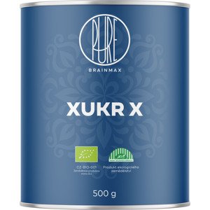 BrainMax Pure Xukr X, xylitol, BIO, 500 g *CZ-BIO-001 certifikát