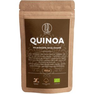 BrainMax Pure Quinoa BIO, mix 3 druhů, 250 g *CZ-BIO-001 certifikát