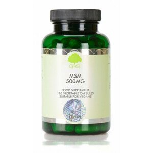G&G Vitamins MSM 1000 mg 120 kapslí